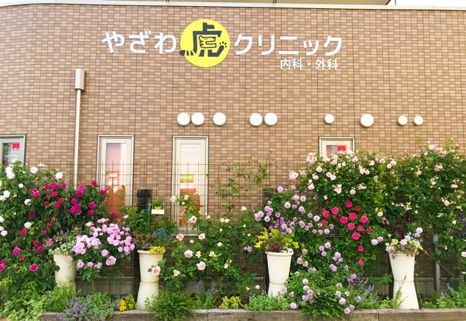 バラのイメージ
